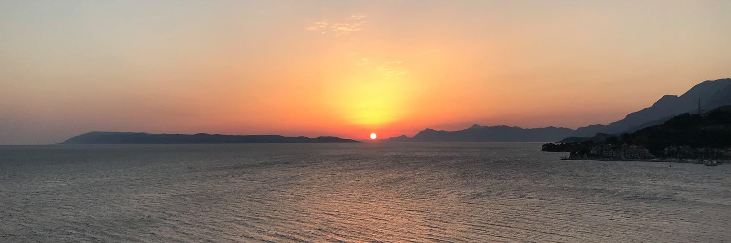 Magnus Fjelldal banner