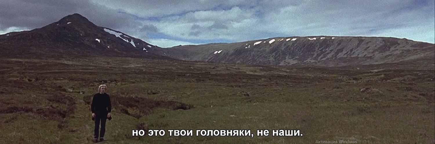 timoshatashit's profile banner image