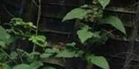 Miarpgvec_'s profile banner image