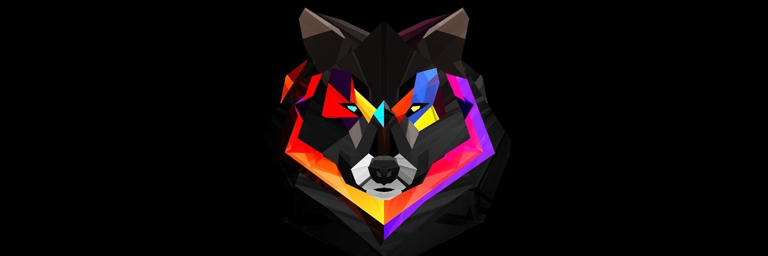 anniimmal's profile banner image