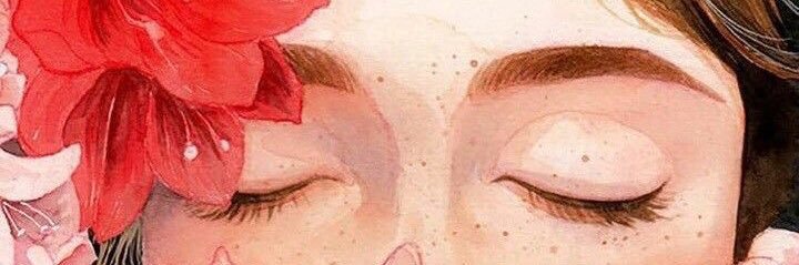 seydince's profile banner image