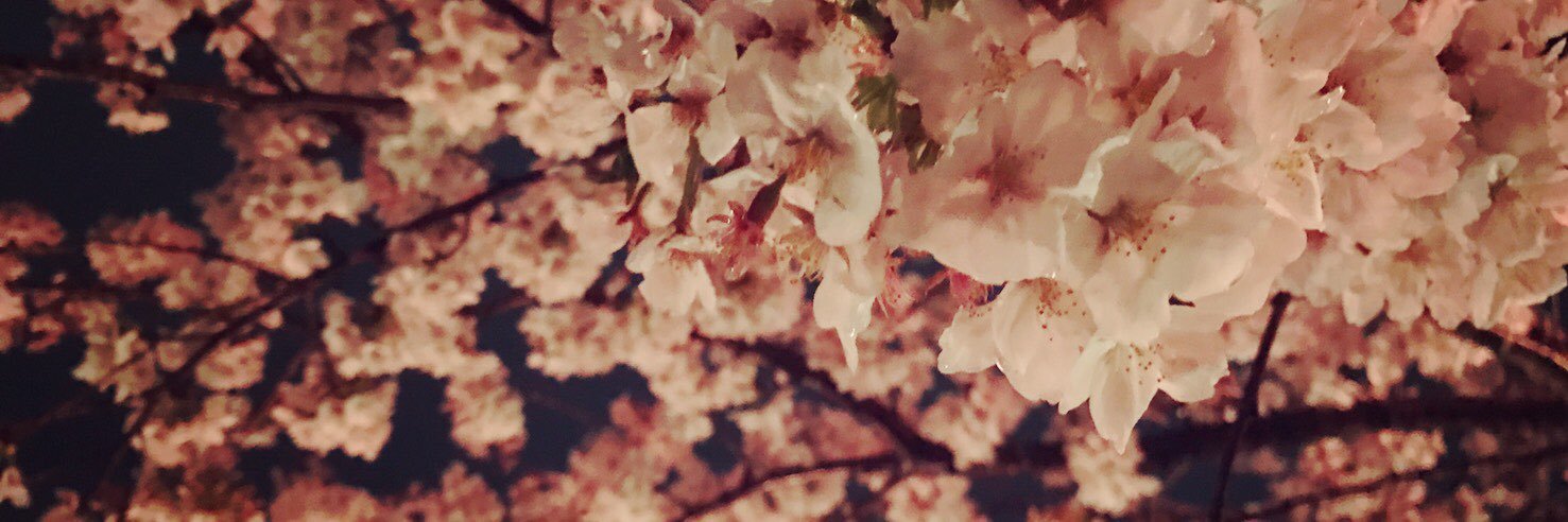 bba_saya's profile banner image