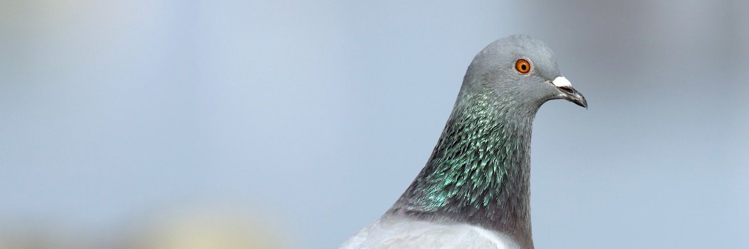 seba5745's profile banner image