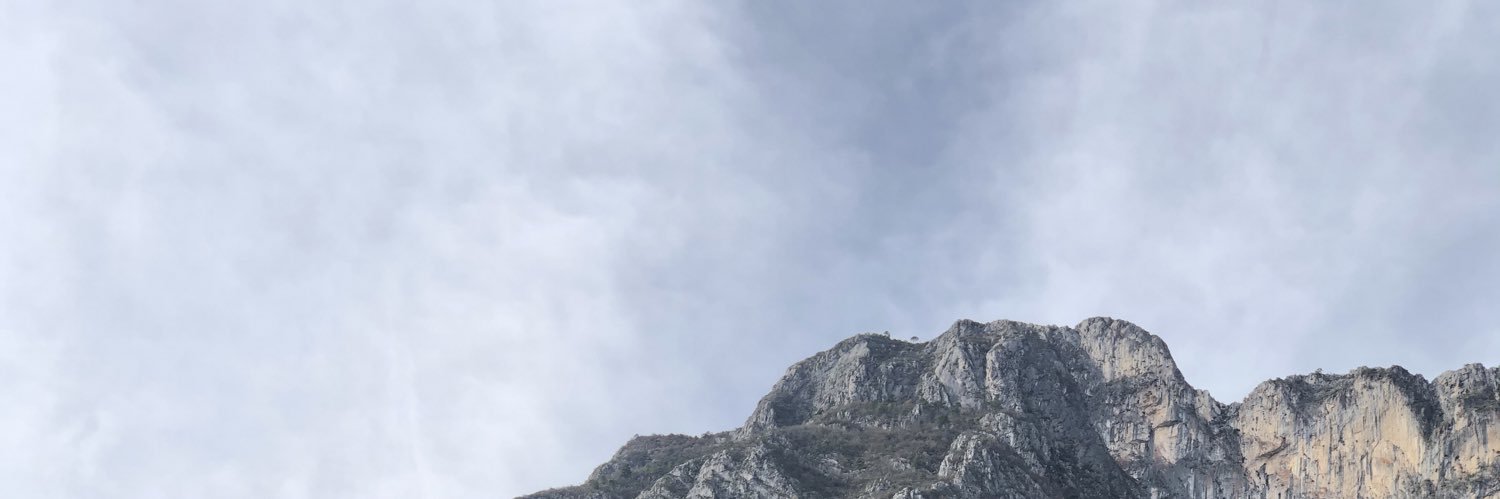 luav's profile banner image