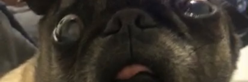 hoesomefun's profile banner image