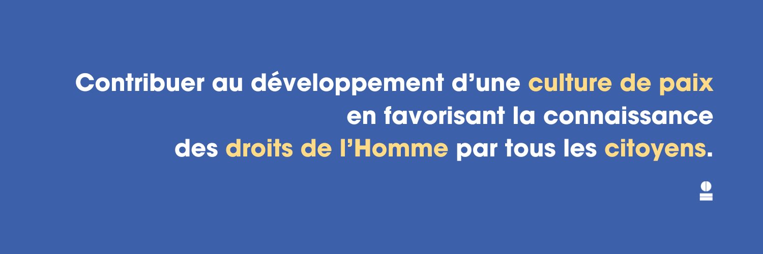 Institut international des droits de l'Homme banner