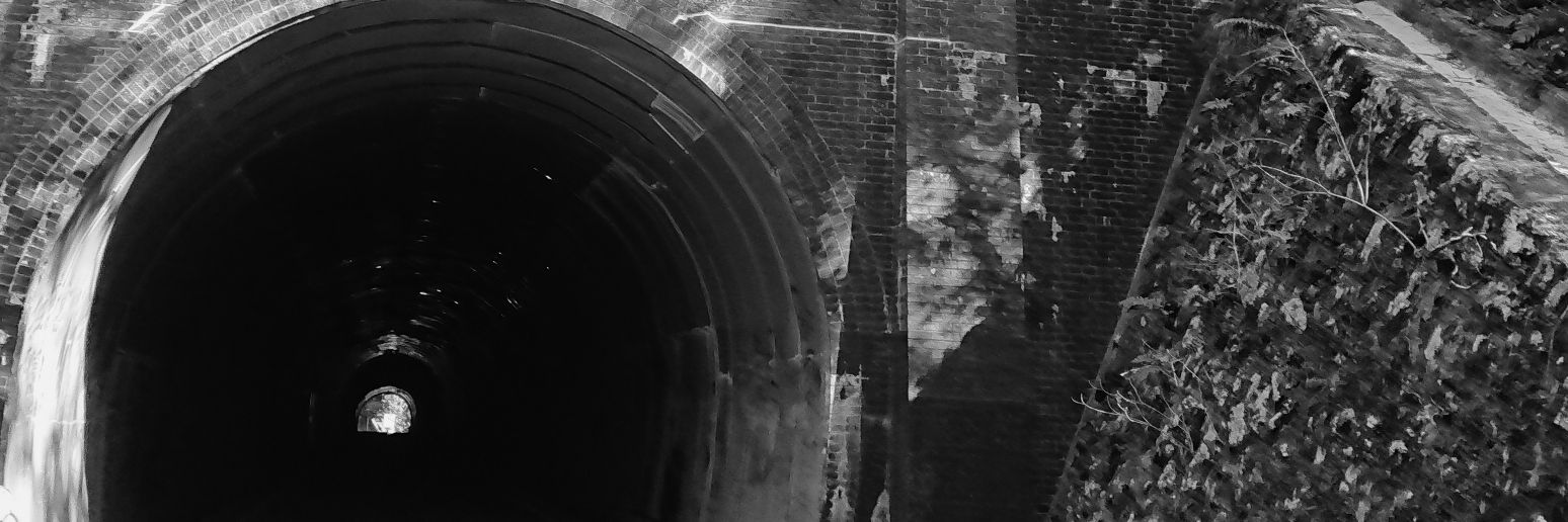 kokeman8591's profile banner image