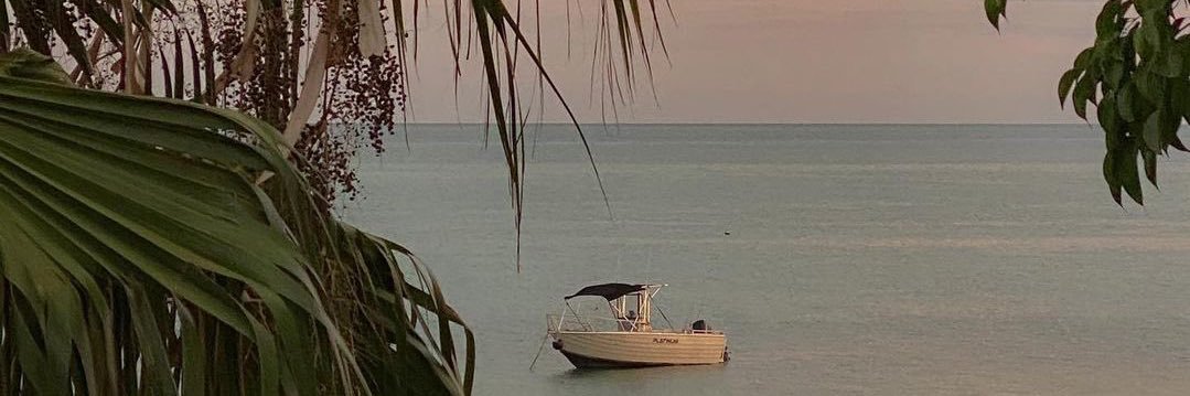 leulouuu's profile banner image