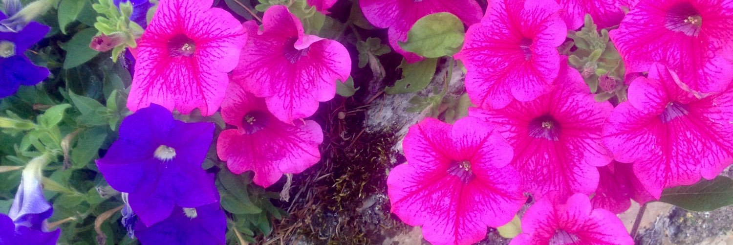BoudetCathy's profile banner image