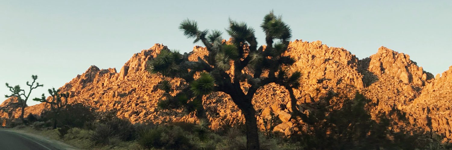 irisnperritt's profile banner image