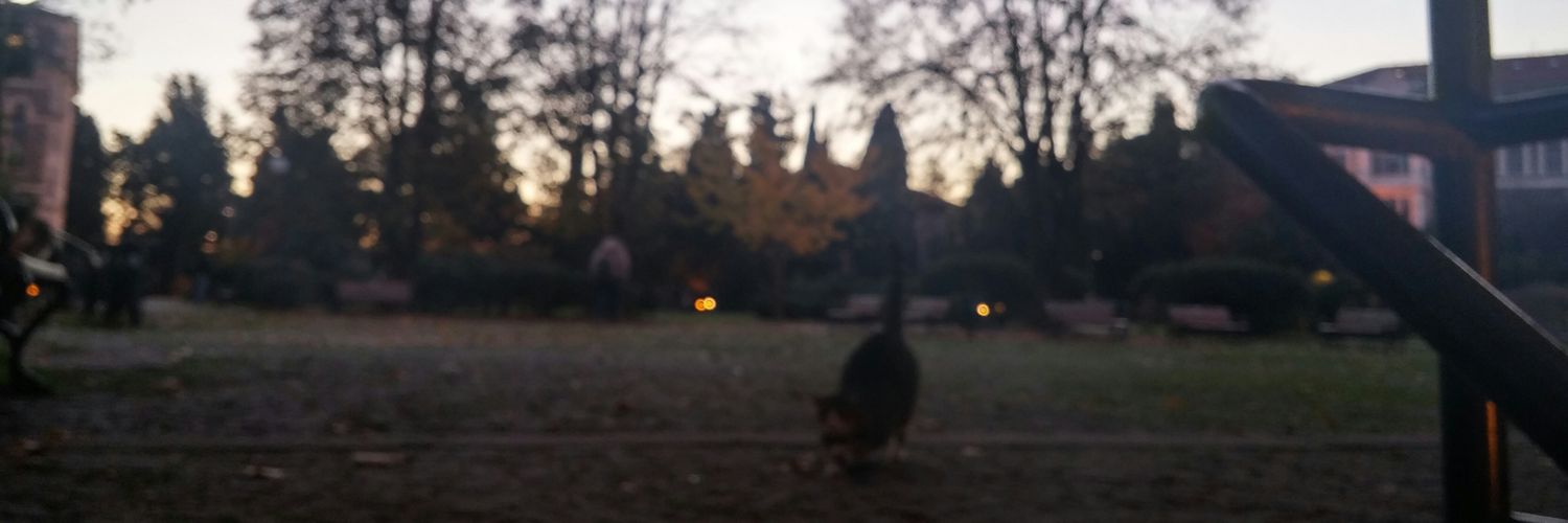 hacerssezgin's profile banner image