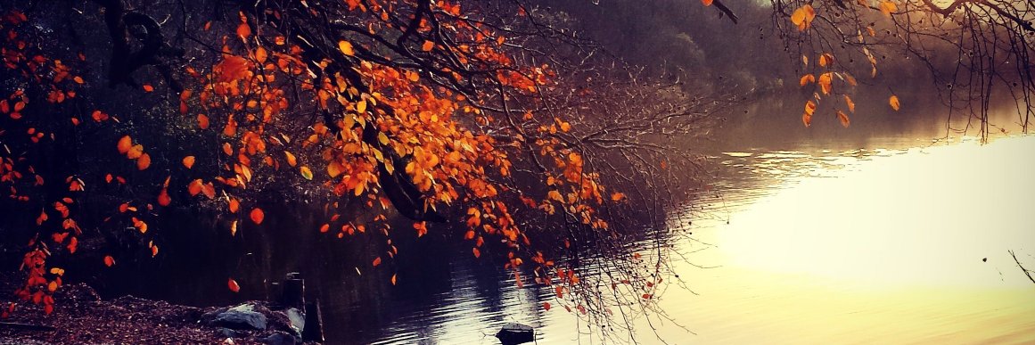 Glasgow South Extra banner