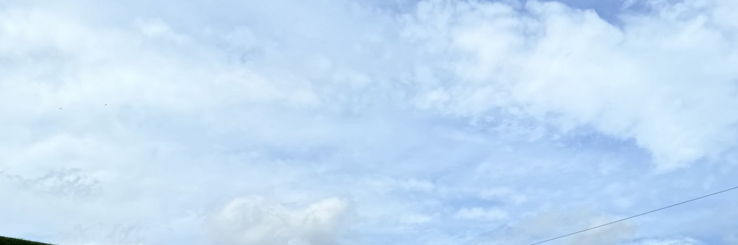 braylongs's profile banner image