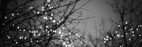 SivansCookies's profile banner image