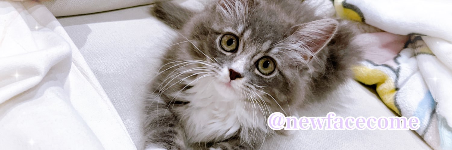 ♥️💛あこ💛♥️ banner