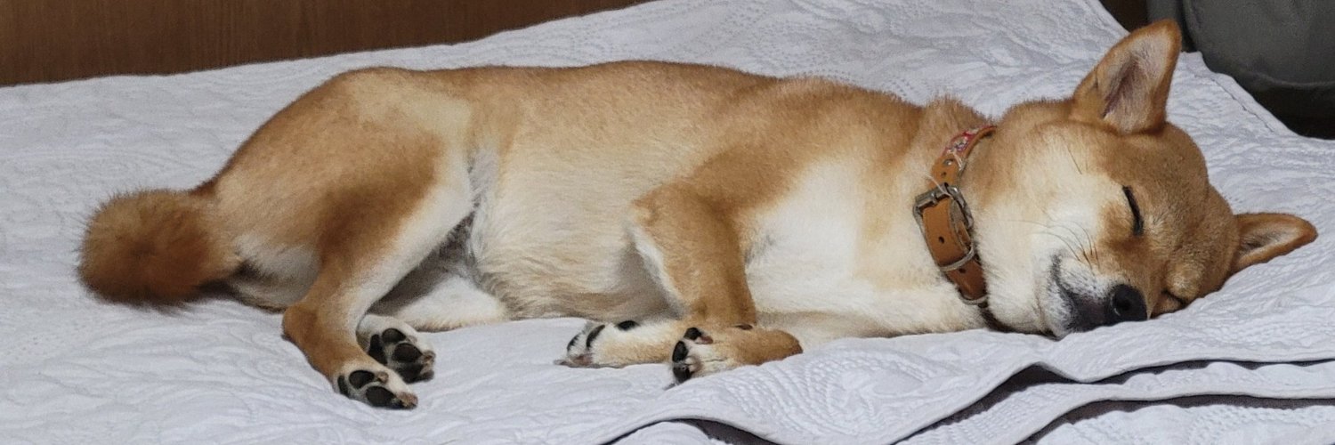 SaltSummerDog's profile banner image