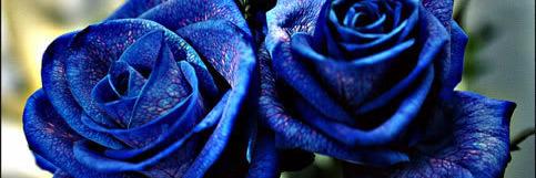 KayCarswell's profile banner image