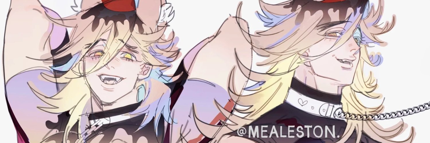 mealeston's profile banner image