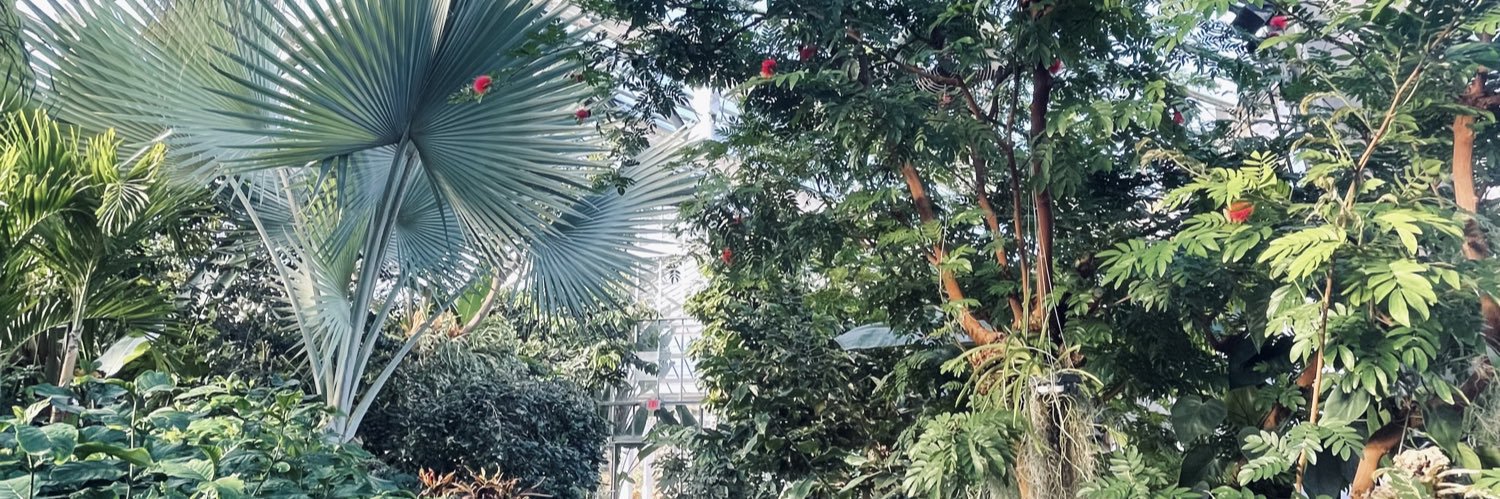 alyssabelieves's profile banner image