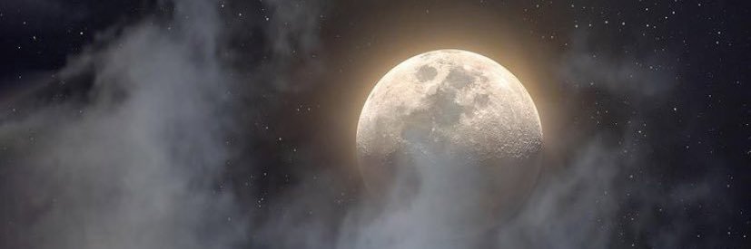 zulemapaxtian's profile banner image