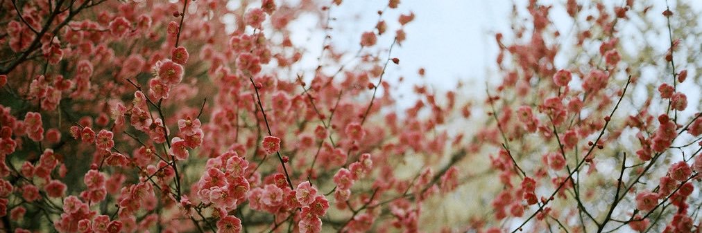 HaydenNewman_'s profile banner image