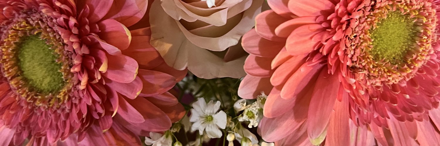 bececliots's profile banner image