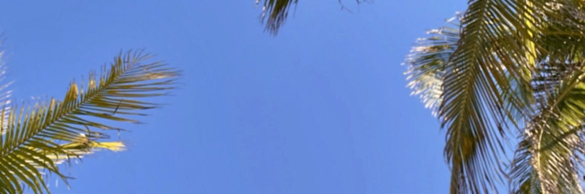 robyalyse's profile banner image
