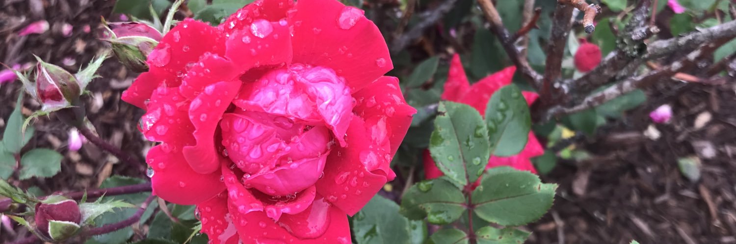 maxiemac22's profile banner image