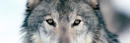 Gonza_ic11's profile banner image
