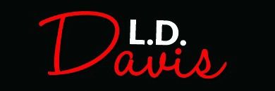LDDavisWrites's profile banner image