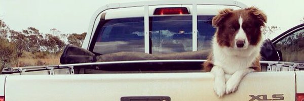 agromons Profile Banner