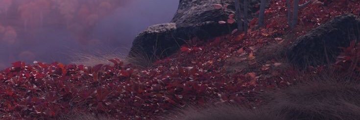 MComils's profile banner image