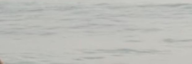 koi banner