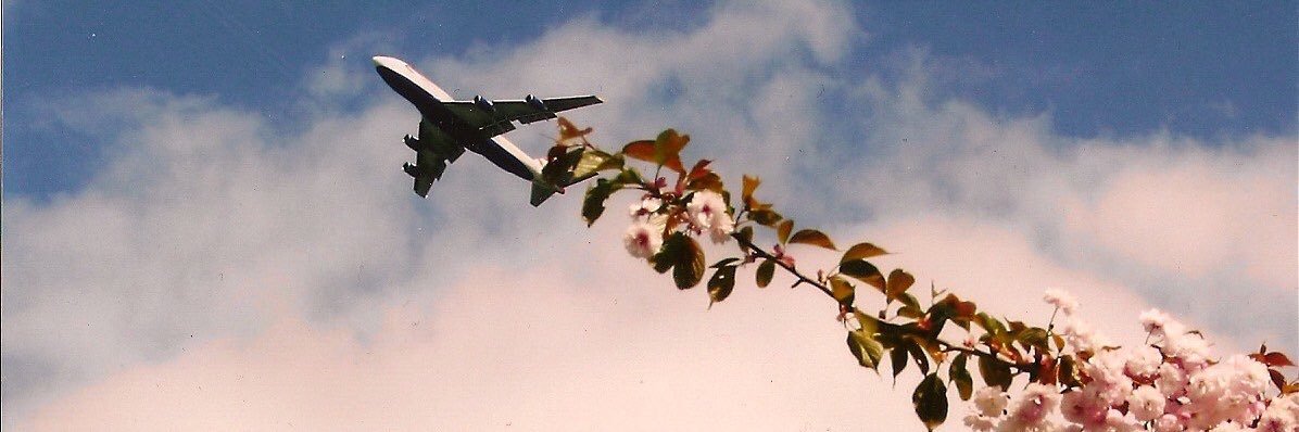 suleyleyim's profile banner image