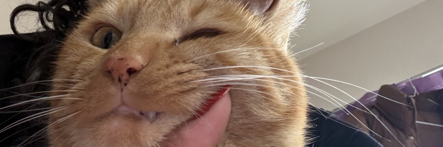 OkiNatalie's profile banner image