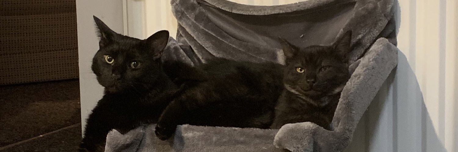 zoemcgachy's profile banner image