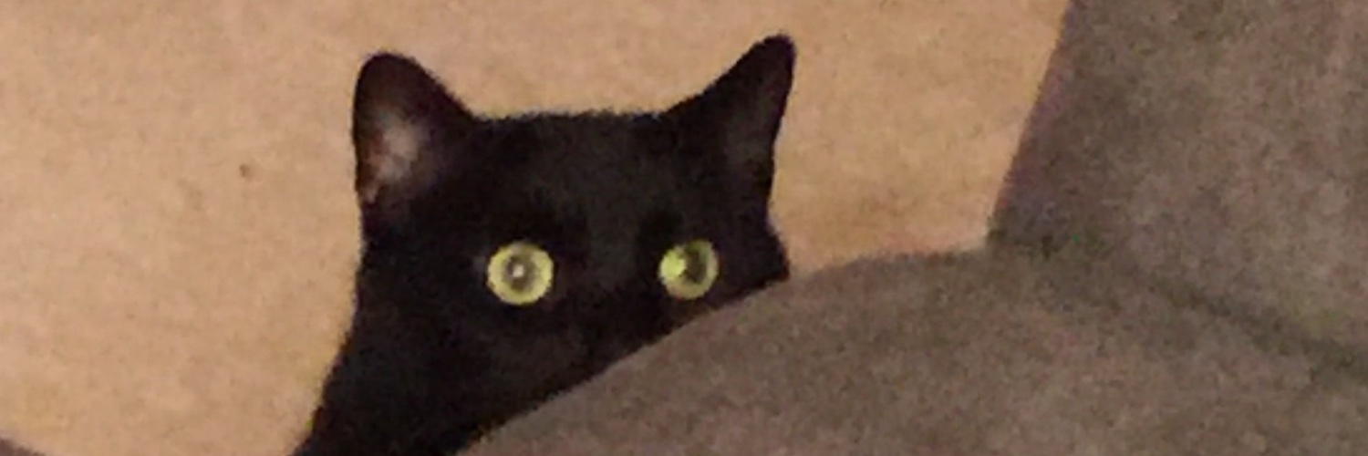 EddevEDF's profile banner image