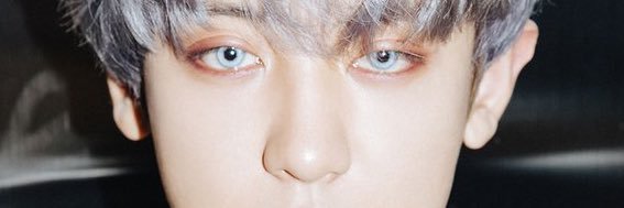 ปาร์คชานฮยอน🐶🦊 banner