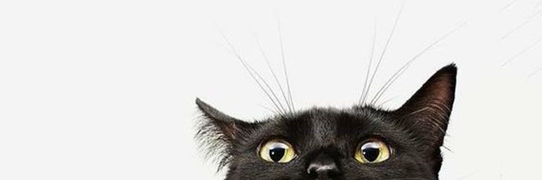 ilhamzefril's profile banner image