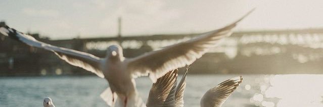 hanjinfsrd's profile banner image