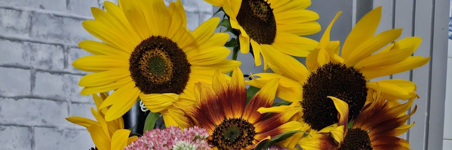 Jools Kosterman banner