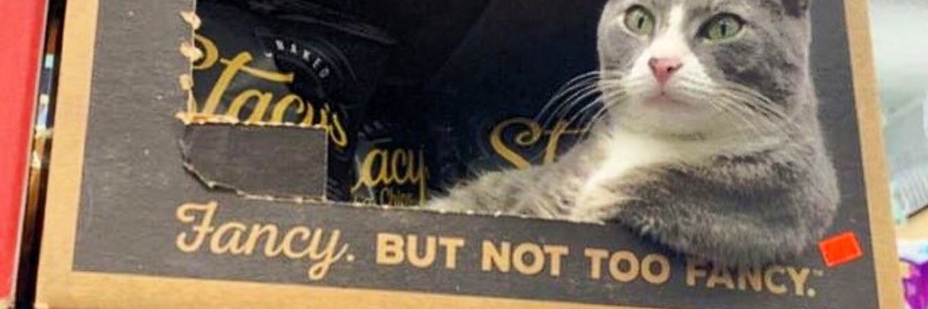 Bookedworm's profile banner image