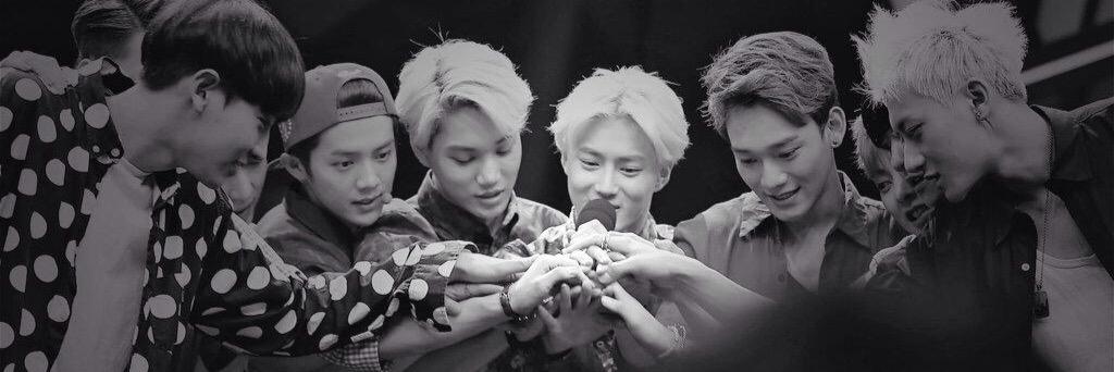 tao_endlees's profile banner image