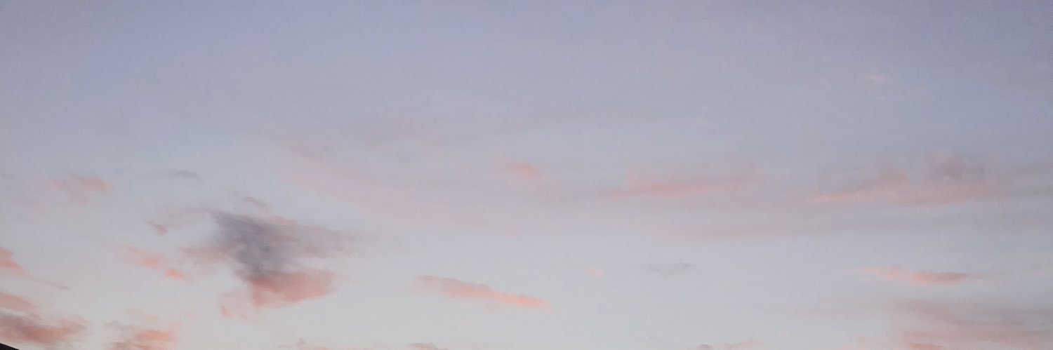 sabrinafontes_'s profile banner image