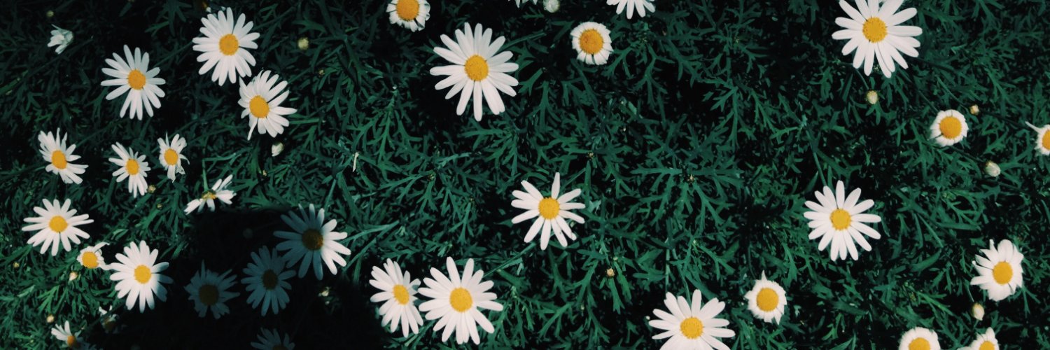 FloraTPan's profile banner image
