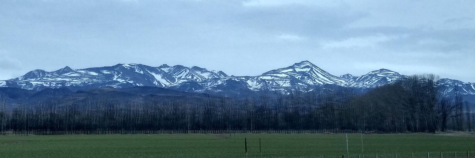 FlorMontes175's profile banner image