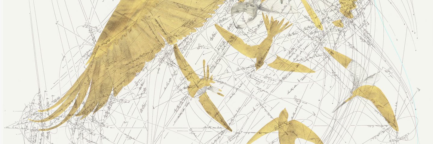 muellerfreitag's profile banner image