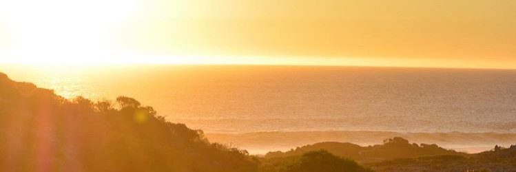 theTronTweets's profile banner image