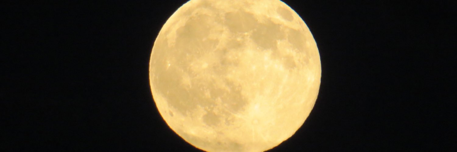 missabby96's profile banner image