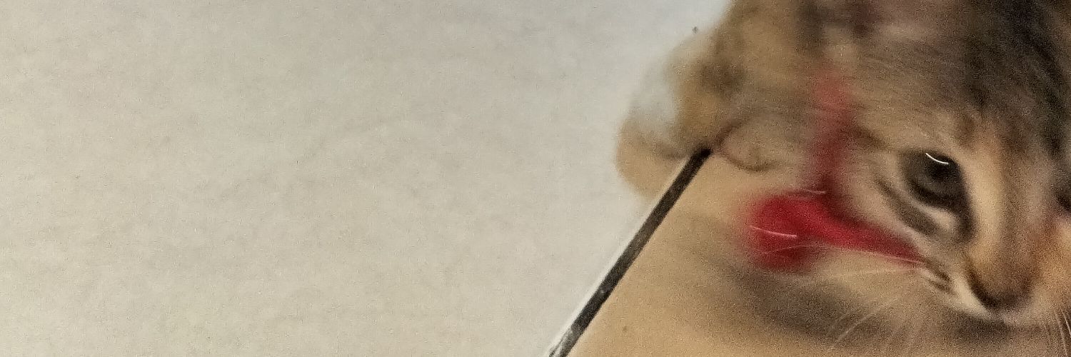 aaanyis's profile banner image